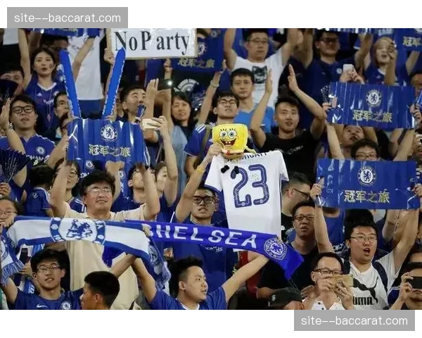 社交媒体成年轻球迷主阵地,球员评分互动单日峰值破万次